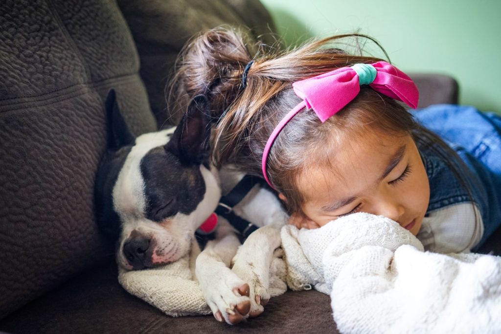 A Girl And Puppy Asleep On A Couch
